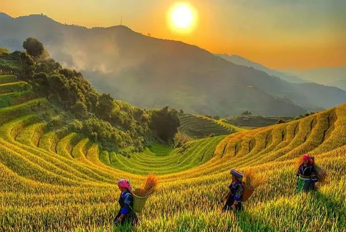 Hoàng hôn trên ruộng bậc thang Vành Móng Ngựa, Mù Cang Chải